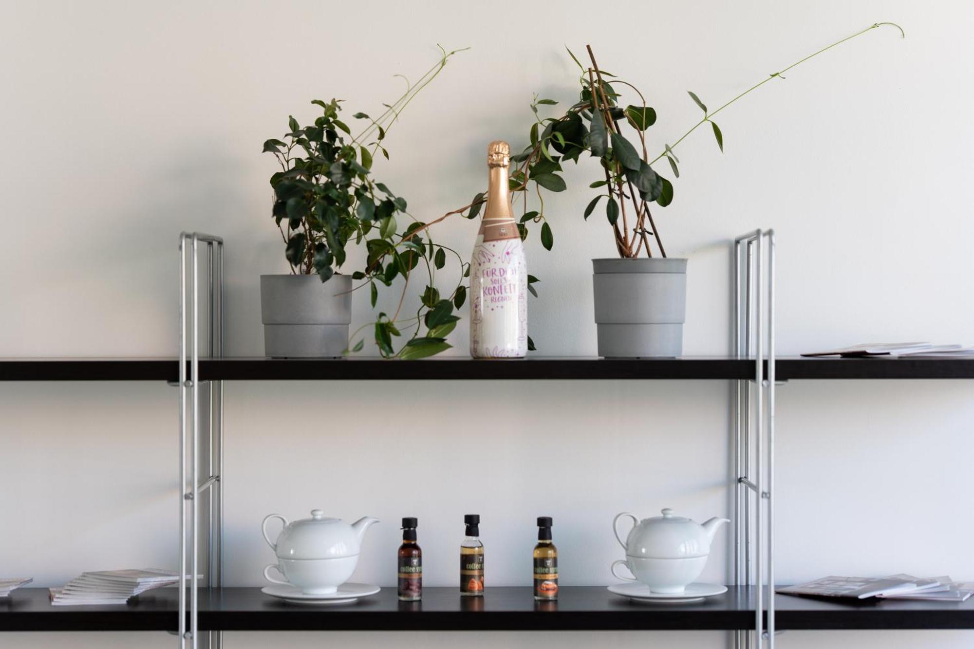 Design & Budget Schoenbrunn 3* Wien